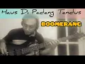 Download Lagu Boomerang - Haus Di Padang Tandus (bass cover)