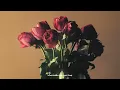 Ryan Fidelis - Rosa Maria (Lyric Video)