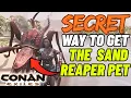 Secret way to get the Sand Reaper pet - Conan Exiles