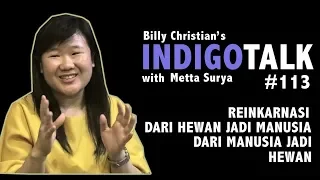 Download Reinkarnasi Hewan Menjadi Manusia IndigoTalk #113 Billy Christian Metta Wijaya MP3