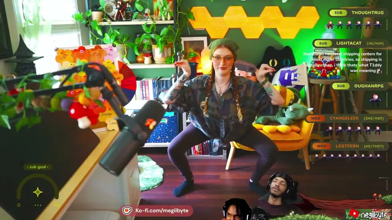 megiibyte - Raid Video 1