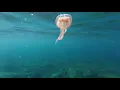 Max Cooper - Hope (Parra For Cuva Remix)