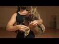 Download Lagu Vánoční koleda na Dudy