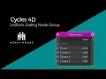 Cycles4D Uniform Scale Node Group