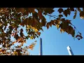NYC Fall Foliage In Central Park November 8 2023