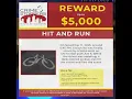 Crime Stoppers of Tampa Bay Up to 5000 Dollar Reward for Deadly Hit and Run