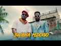 Download Lagu Alikiba feat Patoranking - Bwana Mdogo (Official Music Video)