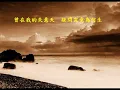 共同渡過---張國榮