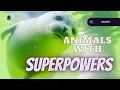 Animals with SUPERPOWERS that you regret not knowing