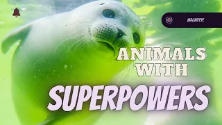 Animals with SUPERPOWERS that you regret not knowing