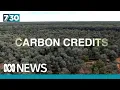 Experts criticise Australia s most popular carbon offset scheme 7 30