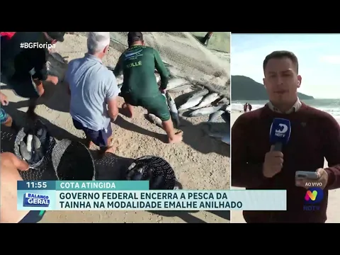 Governo Federal encerra pesca da tainha na modalidade emalhe anilhado