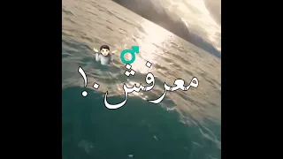 افجر حالة واتس عصام صاصا وحمو الطيخا ومصطفى الجن زابط دماغ بجوب مع كاسين 