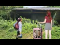 Download Lagu After completing the repair course with Chy By, Rose returned to her old house and built a new life