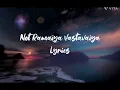 Jawan - Not Ramaiya Vastavaiya (Lyrics)