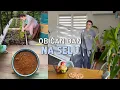 Download Lagu MAALTIJDEN en DESSERTS, tuinieren, SCHOONMAKEN | Slow life op het platteland