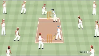 How to Play Cricket