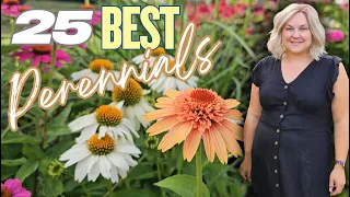 25 Best Long-Blooming Perennials: Plant Once, Returns Every Year!