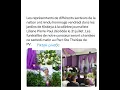 Liliane pierre Paul Directrice radio kiskeya anteman li ap chante Maten an Saint Therese Petyonvil