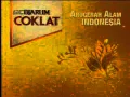 RCTI Djarum Coklat 23 39