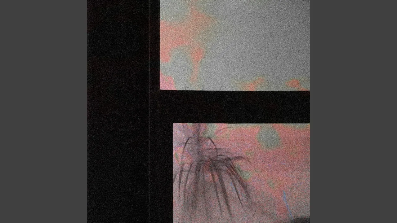 dahlia dahlia