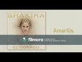 Shakira - Amarillo (1 HORA VERSION)