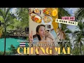 Download Lagu 인생 첫 혼자 해외여행 ✈️ 치앙마이 브이로그 (2) 🇹🇭 찡짜이·코코넛마켓·요가·올드타운·인생맛집까지 | 혼자서도 이렇게 좋다고? 🌴