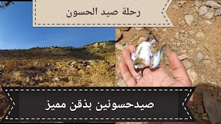 رحلة لصيد الحسون في الجبال و الحصيلة حسونين بعلامة مميزة في الذقن الشبكة الهوائية  رحلة لصيد الحسون في الجبال و الحصيلة حسونين بعلامة مميزة في الذقن الشبكة الهوائية