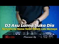 DJ ASU LAMA SUKA DIA VIRAL TIKTOK | TERNYATA KO TANIA MALELE LELE MAMAYO REMIX FULL BASS TERBARU