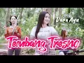 Download Lagu Dara Ayu - Tembang Tresno - Official Music Video
