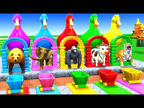 Video Thumbnail: Long Slide Game with Cow Elephant Gorilla Hippopotamus Tiger 3d Animal Game Funny 3d Animals