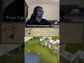 Download Lagu OSRS: My most loved and hated quest (So far!): Goblin Diplomacy!