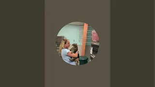 ACCT Philly dogs 5pm
