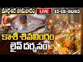 Lagu LIVE: సోమవారం కాశీ శివలింగం లైవ్ దర్శనం | Kashi live Darsanam | Karthika Somavaram Special