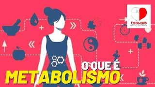 O que é METABOLISMO? Entenda sobre catabolismo, anabolismo e enzimas