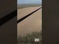 Activists occupy 200-year-old tree to stop border wall