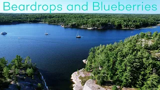 Ep. 13 Beardrop and Blueberry Hunting: Settling into the North Channel