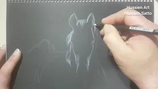 رسم حصان بقلم ابيض على ورق اسود 