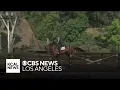 Nellie Gail Ranch Equestrian Center in Laguna Hills SoCal Spotlight