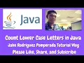 Count Lower Case Letters in Java