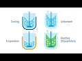 4 Recrystallization Methods for Increased Yield