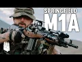 Download Lagu The Gun Liberals Aren’t Scared Of But They Should Be. The Springfield M1A Scout
