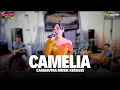 Lagu CAMELIA COVER REVA REVO CS CAMASUTRA MUSIK KERASS 