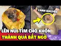 Download Lagu Anh chàng lên bản 'TÌM CHÓ KHÔN' về nuôi và thành quả đầy bất ngờ phía sau 😍 | Gâu Đần