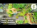 Download Lagu Growing TONS of FOOD in a Super Small Garden – Balcony Container Garden Tour