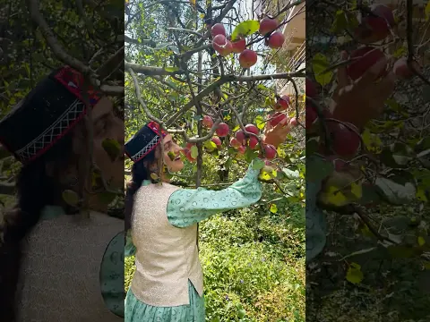मनाली में मन लग गया ❤️🌿