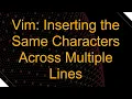 Vim Inserting the Same Characters Across Multiple Lines