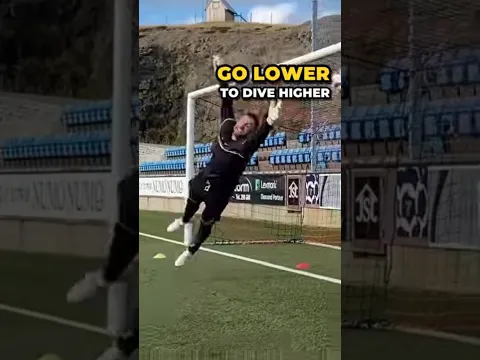 Is this the best way to dive? 🤔