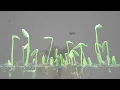 Growing Sideways - Noah Kahan [가사/해석/Lyrics]
