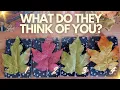 What Do They Think Of YOU PICK A CARD Timeless Tarot Reading